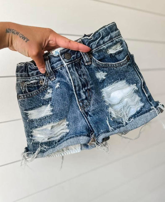 5T Girls Vintage Shorts